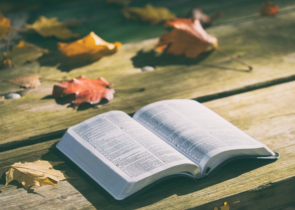 open Bible on a bench with fall leaves