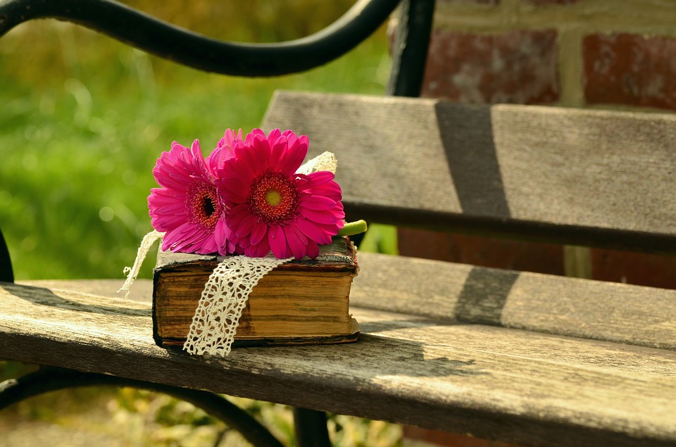 Old book wrapped with ribbon with dark pink flower on top, sitting on a wooden park bench