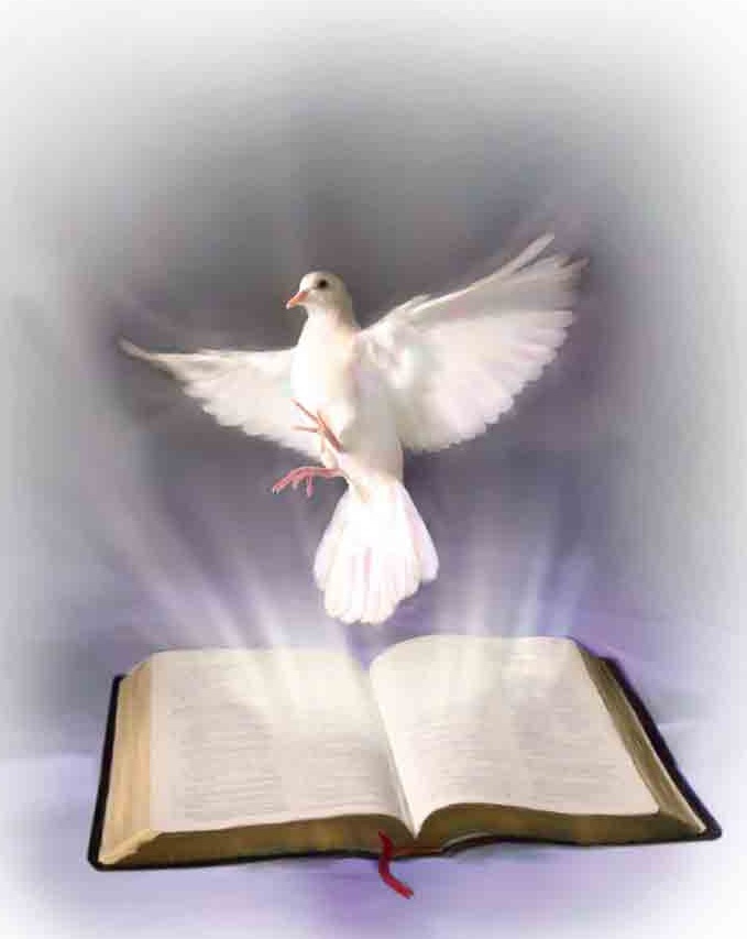 Holy Spirit dove flying up from open book