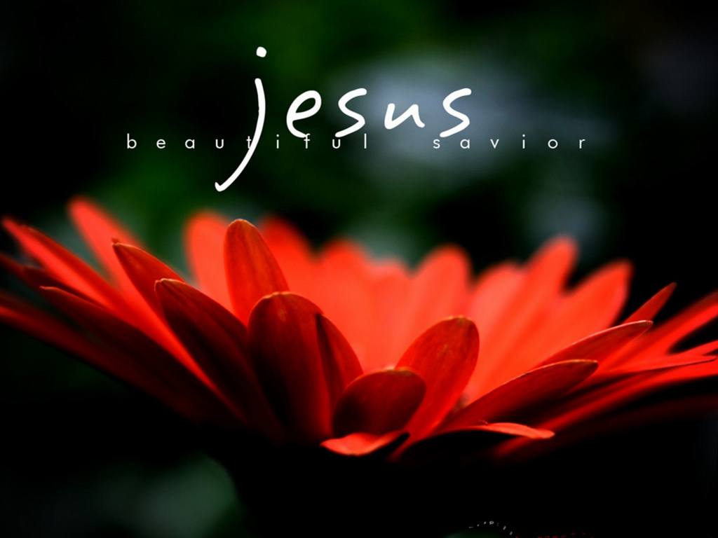 Jesus Beautiful Savior - bright orange flower on black background