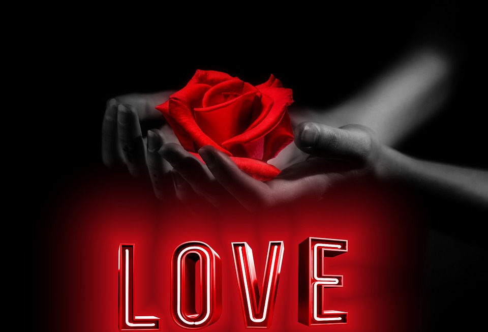 black and white hands holding red rose with word LOVE in red below