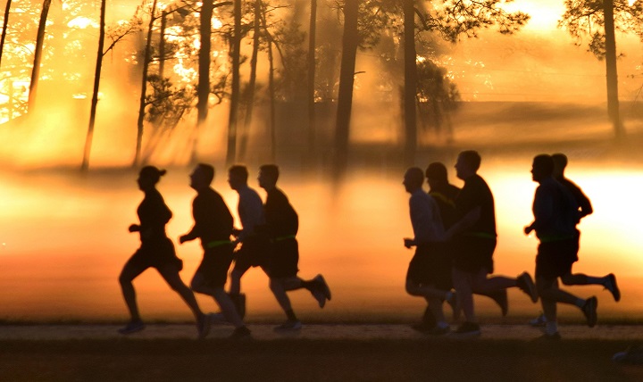 group of runners set against a hazy sunset in the woods