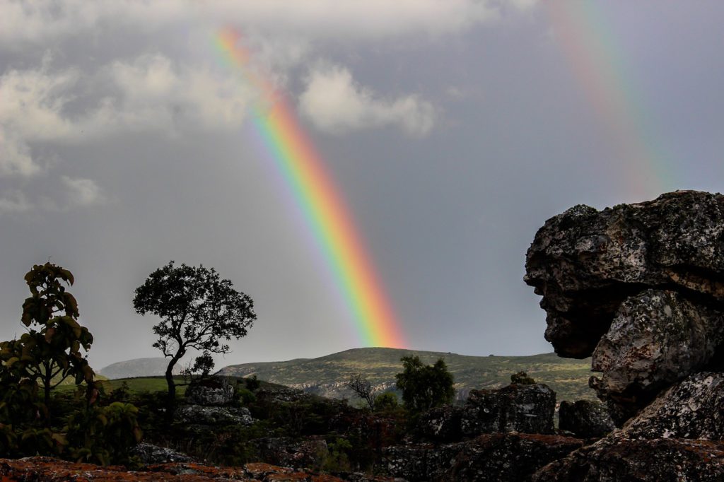 rainbow in the sky in field with trees