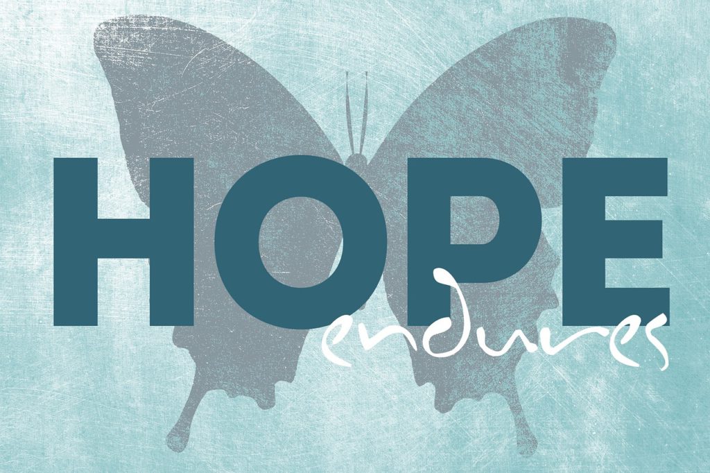 A picture of a butterfly with the words "Hope Endures" 