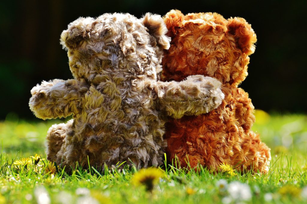 two cuddly teddy bears sitting in a field, facing away, one posed with it's arm around the other