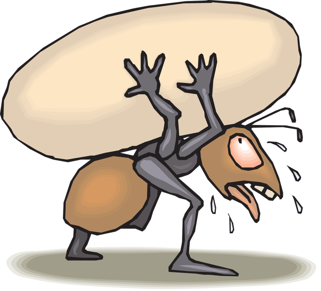 cartoon of ant carrying large item while sweating and panting