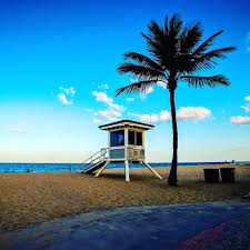 beach and palm tree