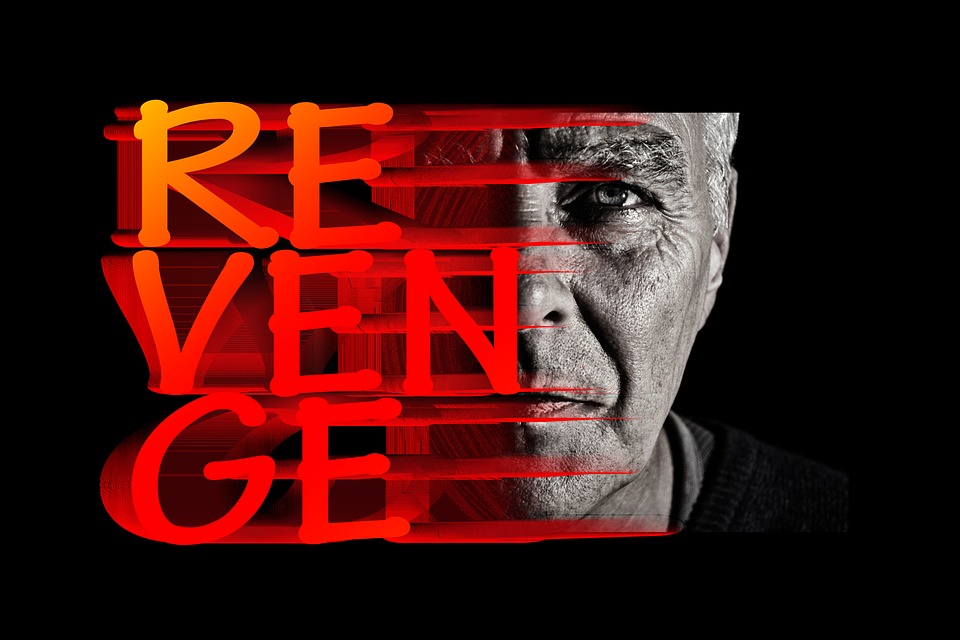 REVENGE in red letter overlaid on a face in the shadows