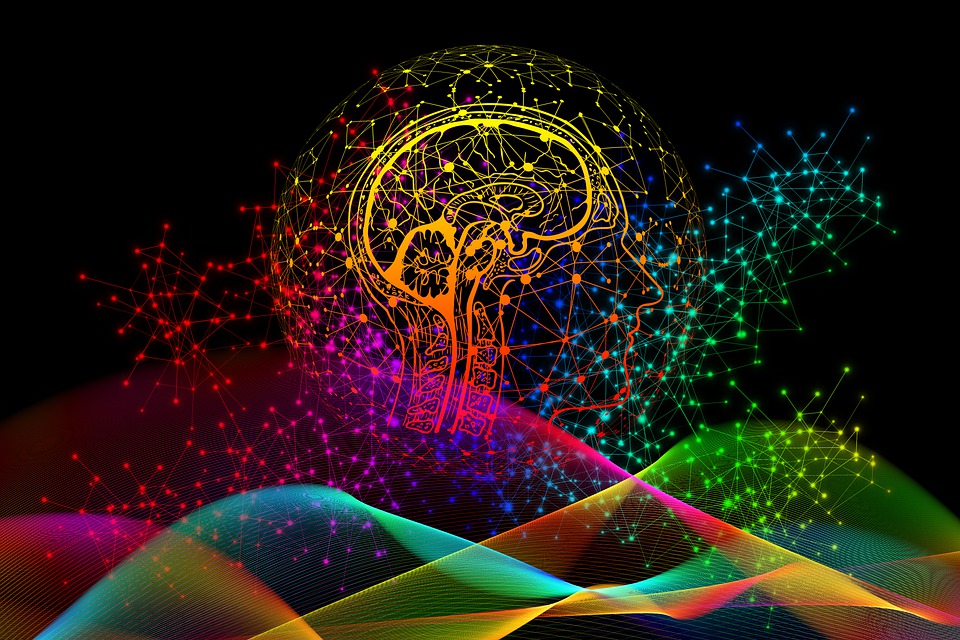 a colorful diagram of the brain with all sorts of connected dots all around