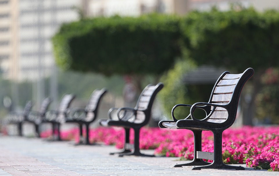 decorative benches with pink flowers and shrubs around