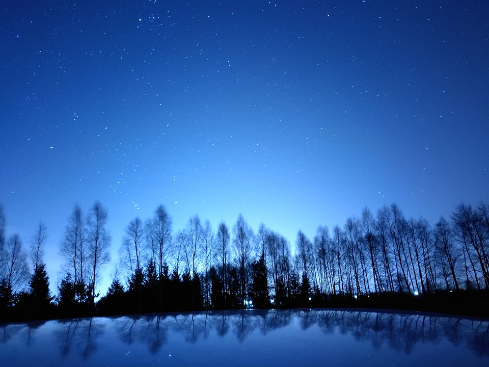 Clear night sky with stars, fresh snow on some trees beneath