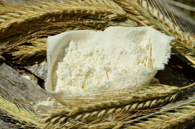 flour in container amidst barley grain