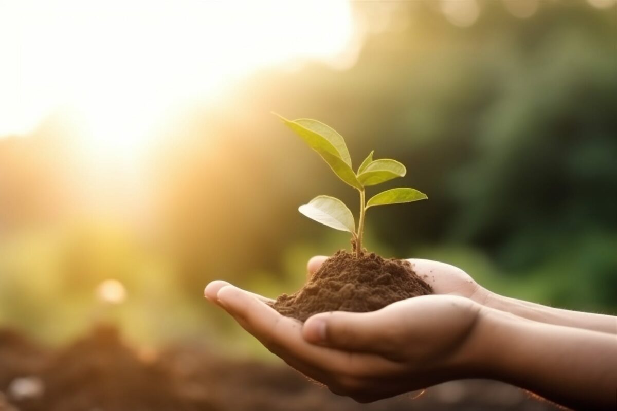 1 Corinthians 3:7-8 – It All Starts with a Seed